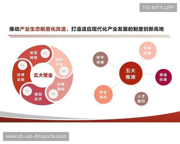 非对称双后腰：现代足球中场分工的差异化创新实践